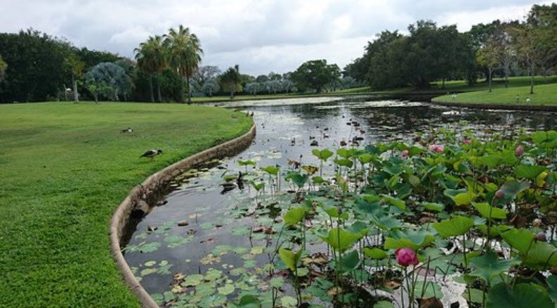 Anderson Park, Australia